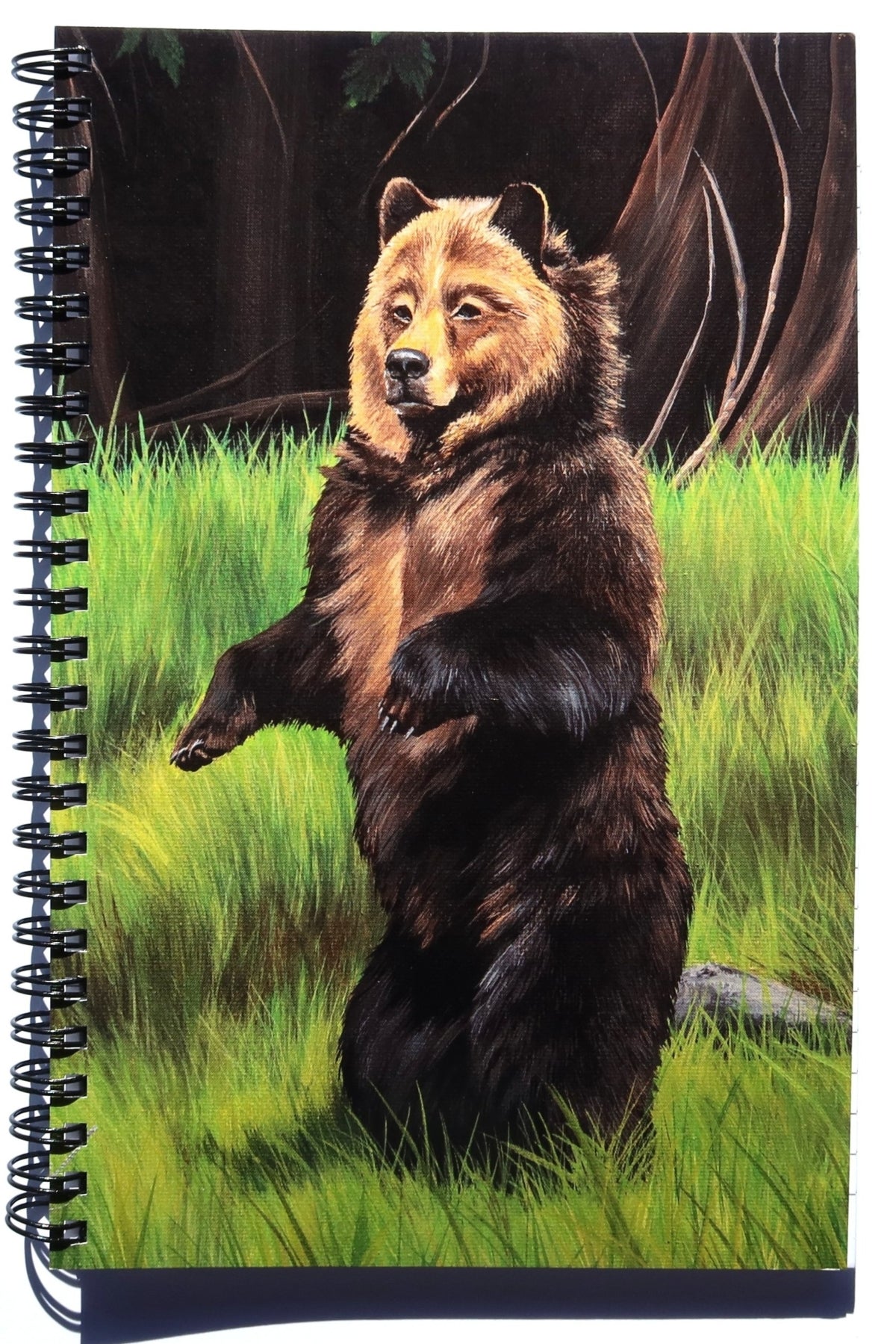 Journal - Bear
