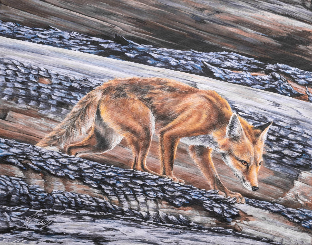 Cautious Steps - Fine Art Print