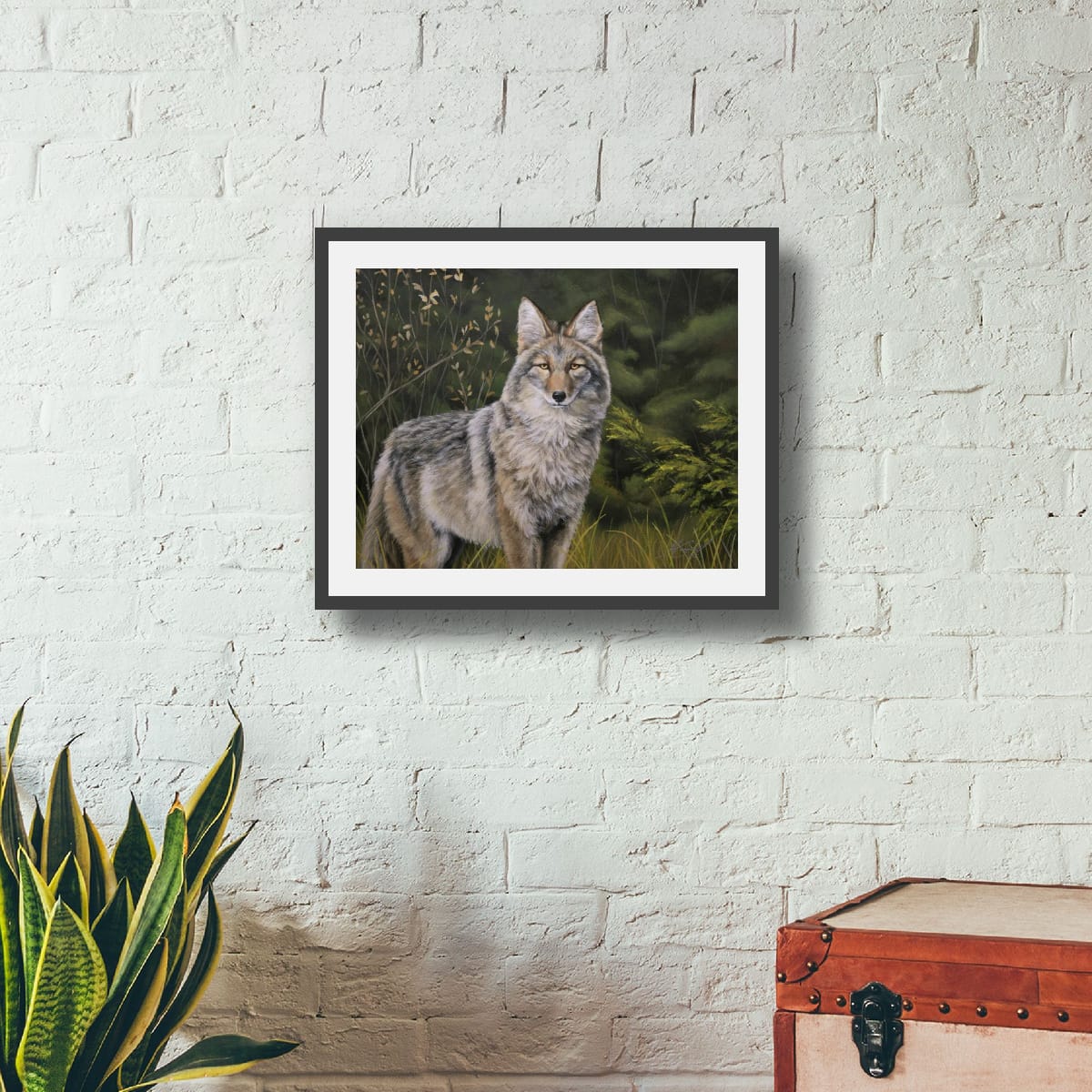 Not Big, Not Bad, Not a Wolf - Fine Art Print