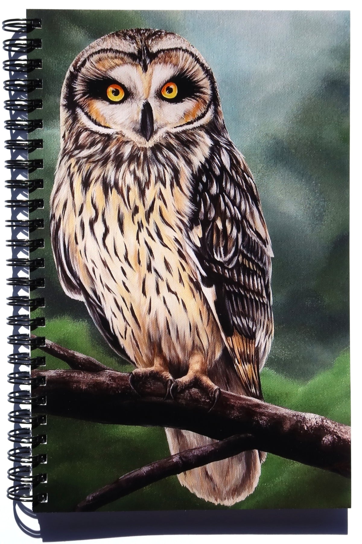 Journal - Owl