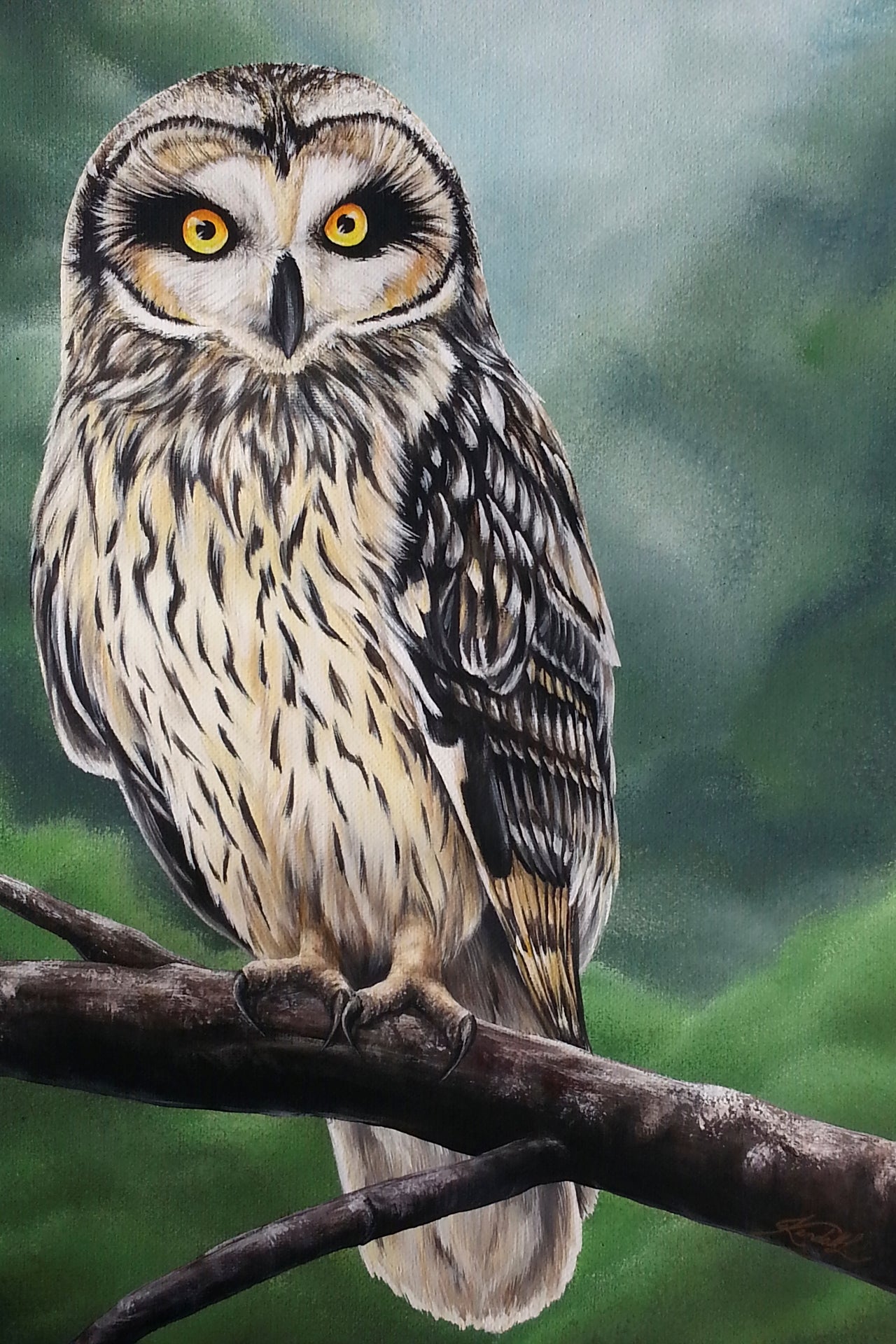 Owl Medicine - Fine Art Print