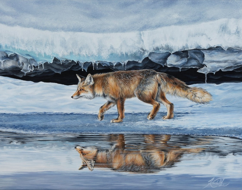Terry's Fox - Fine Art Print